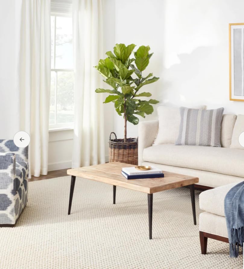 Handwoven Wool Area Rug - Hand Woven Natural Carpet Rugs- Bedroom Living Room Dining Room (Ivory- 6'x9')