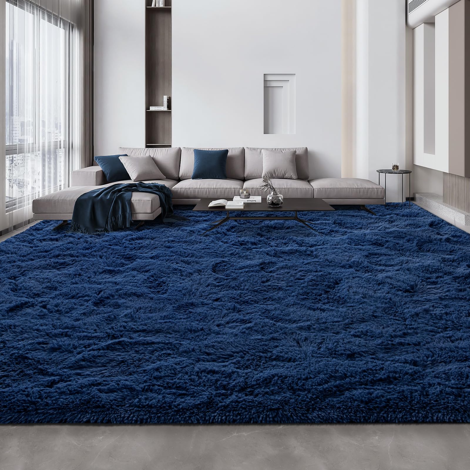 Deerhoo Large Shag Area Rugs 6 x 9, Tie-Dyed Plush Fuzzy Rug for Living Room, Ultra Soft Fluffy Furry Rugs for Bedroom, Indoor Carpet Nursery Rugs for Kids Room Home Decor, Light Grey
