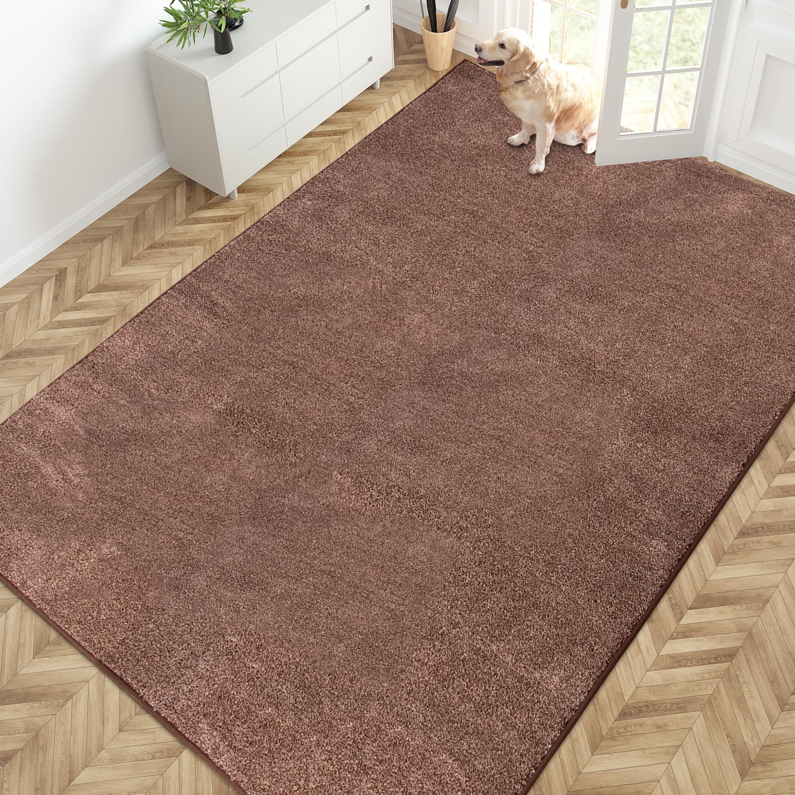 PURRUGS Dirt Trapping Door Mat 24" x 35.5", Non-Slip Machine Washable Entryway Rug, Dog Doormat, Indoor Front Door Mat, Super Absorbent Entry Rug for Muddy Shoes & Paws, Charcoal