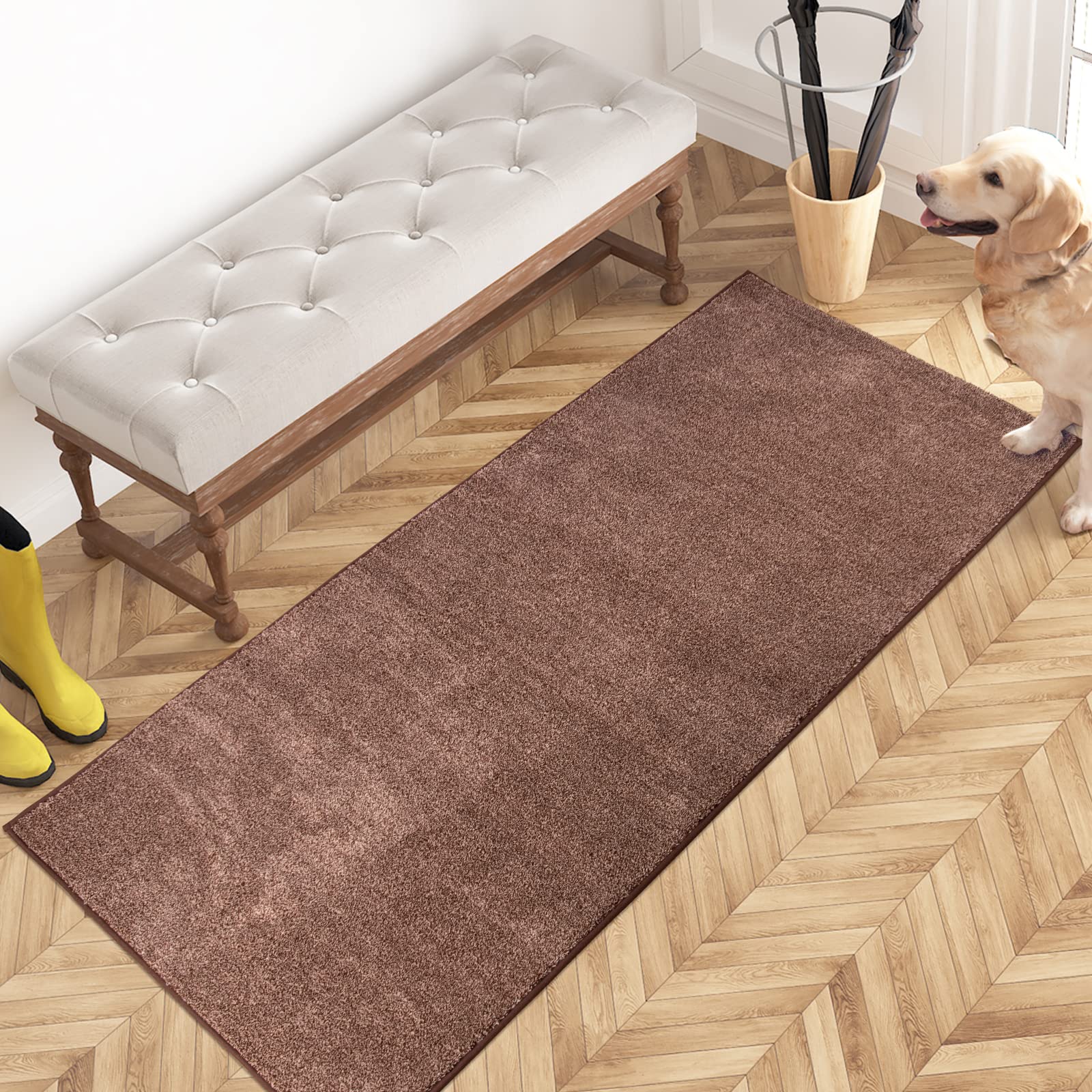 PURRUGS Dirt Trapping Door Mat 24" x 35.5", Non-Slip Machine Washable Entryway Rug, Dog Doormat, Indoor Front Door Mat, Super Absorbent Entry Rug for Muddy Shoes & Paws, Charcoal