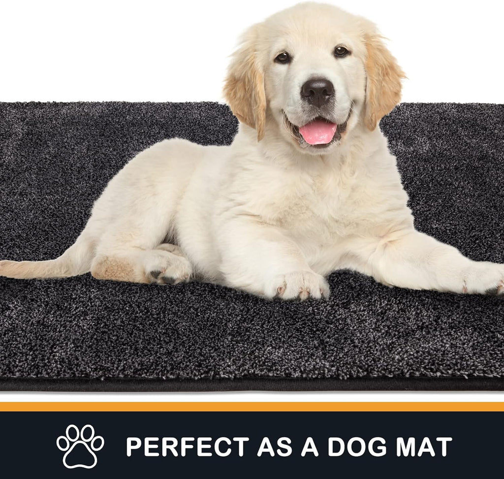 PURRUGS Dirt Trapping Door Mat 24" x 35.5", Non-Slip Machine Washable Entryway Rug, Dog Doormat, Indoor Front Door Mat, Super Absorbent Entry Rug for Muddy Shoes & Paws, Charcoal