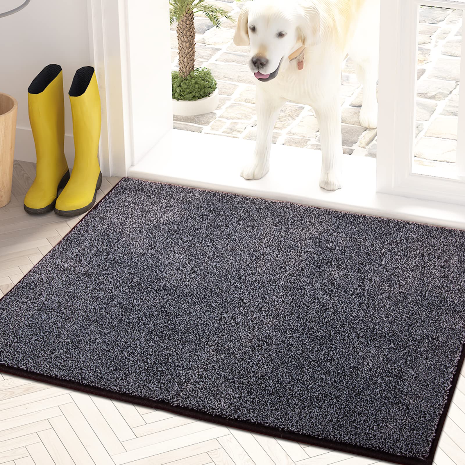 PURRUGS Dirt Trapping Door Mat 24" x 35.5", Non-Slip Machine Washable Entryway Rug, Dog Doormat, Indoor Front Door Mat, Super Absorbent Entry Rug for Muddy Shoes & Paws, Charcoal