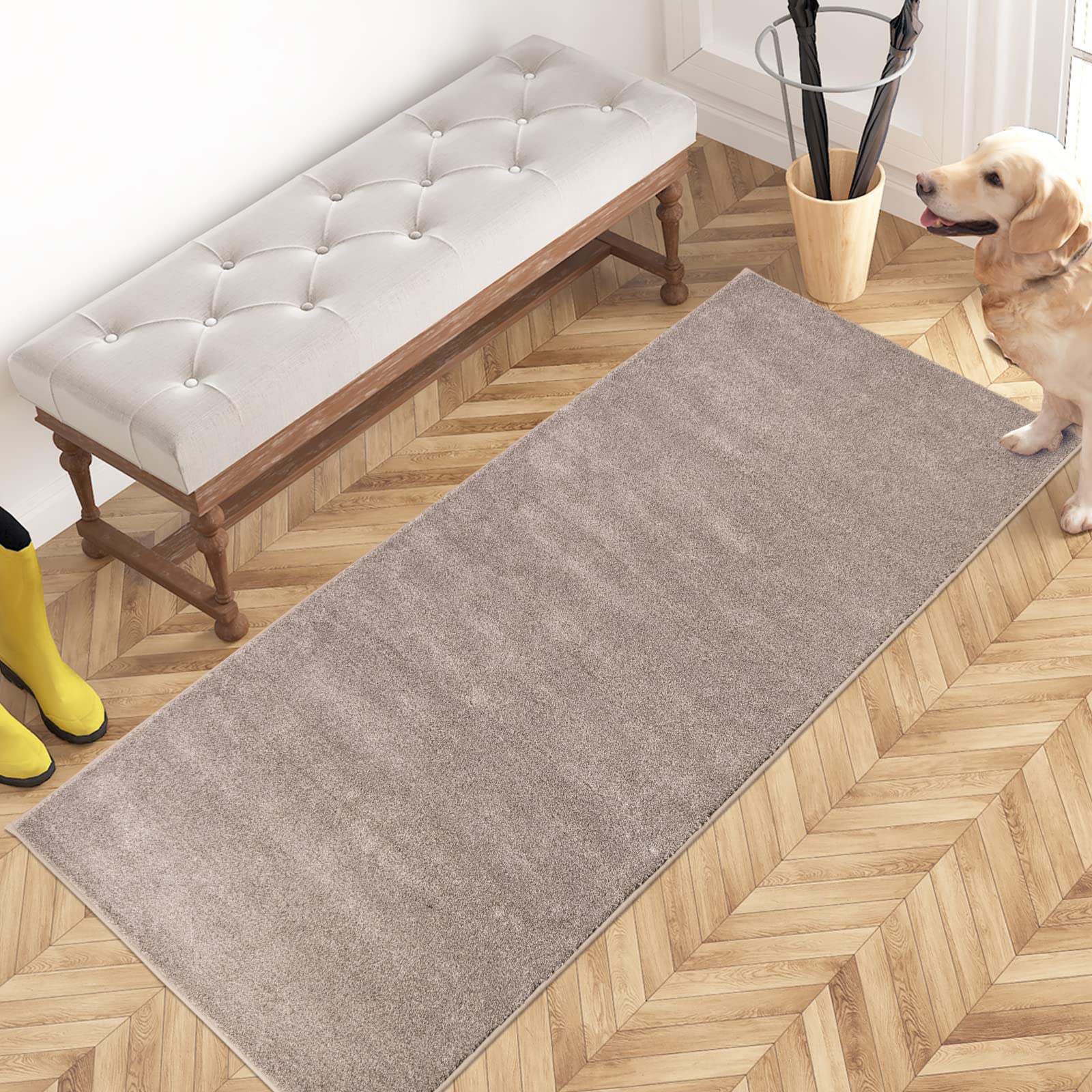 PURRUGS Dirt Trapping Door Mat 24" x 35.5", Non-Slip Machine Washable Entryway Rug, Dog Doormat, Indoor Front Door Mat, Super Absorbent Entry Rug for Muddy Shoes & Paws, Charcoal