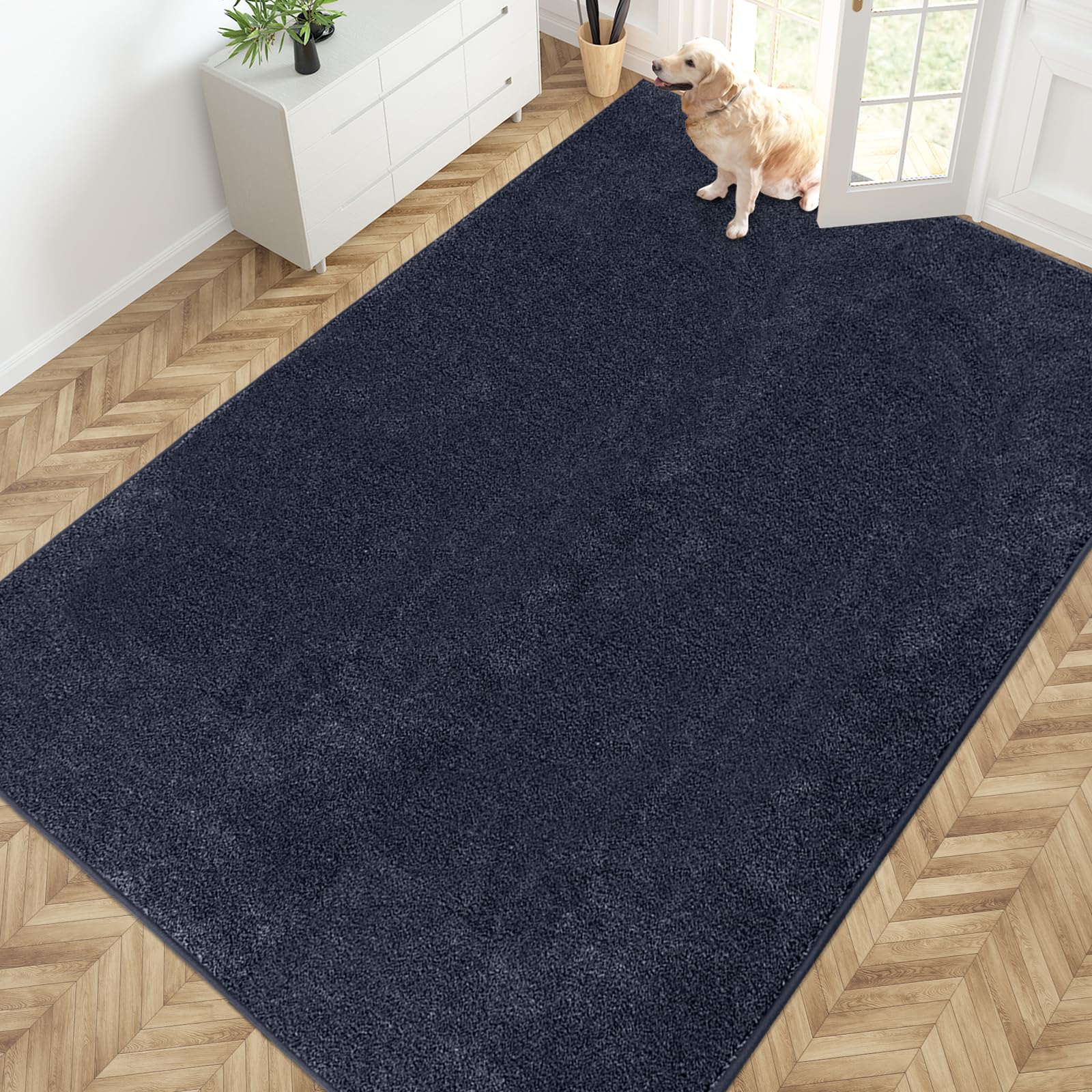 PURRUGS Dirt Trapping Door Mat 24" x 35.5", Non-Slip Machine Washable Entryway Rug, Dog Doormat, Indoor Front Door Mat, Super Absorbent Entry Rug for Muddy Shoes & Paws, Charcoal