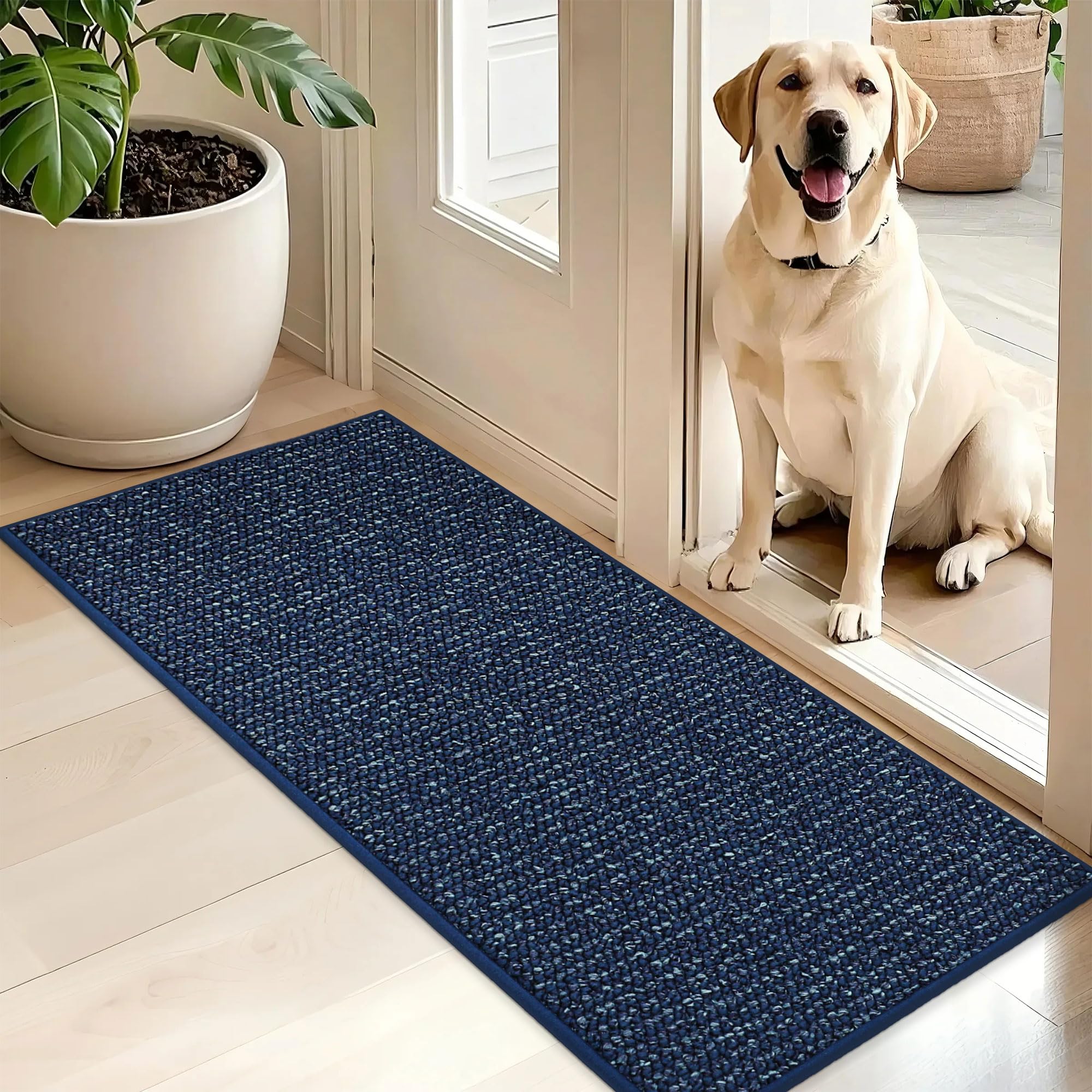BEQHAUSE Dirt Trapper Door Mat 24" x 36", Non-Slip Washable Doormats Entrance Mat, Dirt Resistant and Absorbent Welcome Mat, Low Profile Floor Mats for Front Back Door and Entryway, Beige