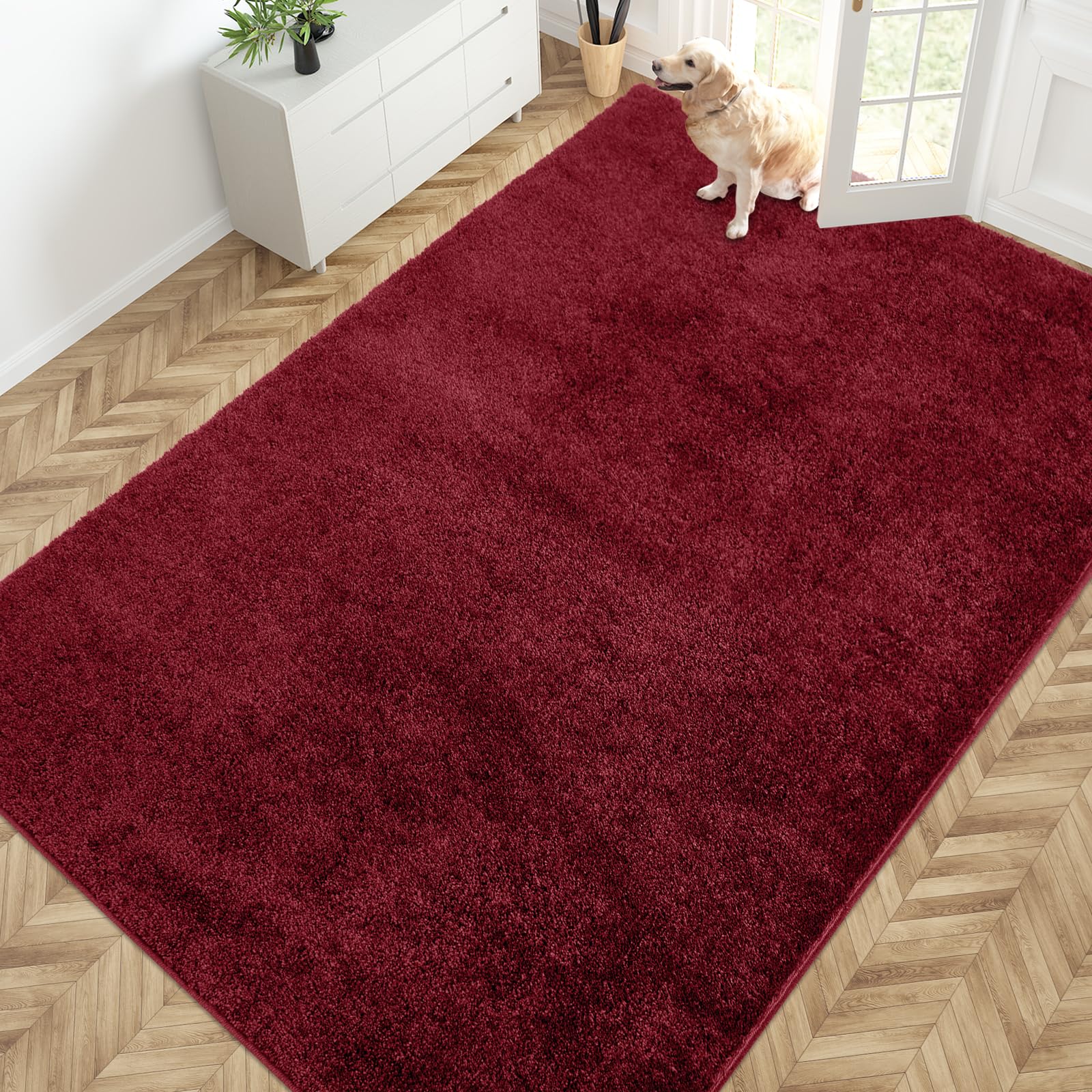 PURRUGS Dirt Trapping Door Mat 24" x 35.5", Non-Slip Machine Washable Entryway Rug, Dog Doormat, Indoor Front Door Mat, Super Absorbent Entry Rug for Muddy Shoes & Paws, Charcoal
