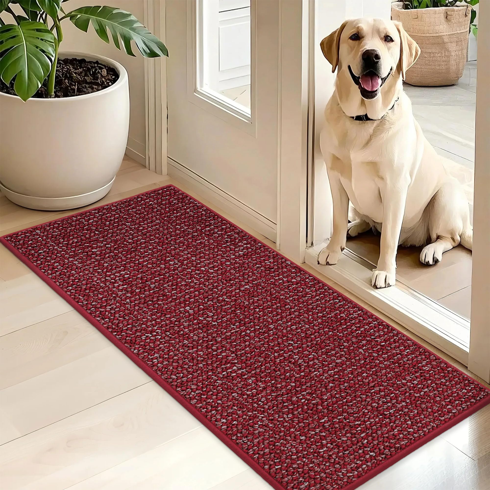 BEQHAUSE Dirt Trapper Door Mat 24" x 36", Non-Slip Washable Doormats Entrance Mat, Dirt Resistant and Absorbent Welcome Mat, Low Profile Floor Mats for Front Back Door and Entryway, Beige