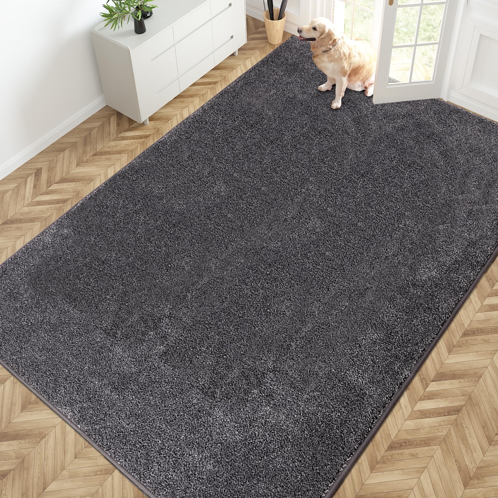 PURRUGS Dirt Trapping Door Mat 24" x 35.5", Non-Slip Machine Washable Entryway Rug, Dog Doormat, Indoor Front Door Mat, Super Absorbent Entry Rug for Muddy Shoes & Paws, Charcoal