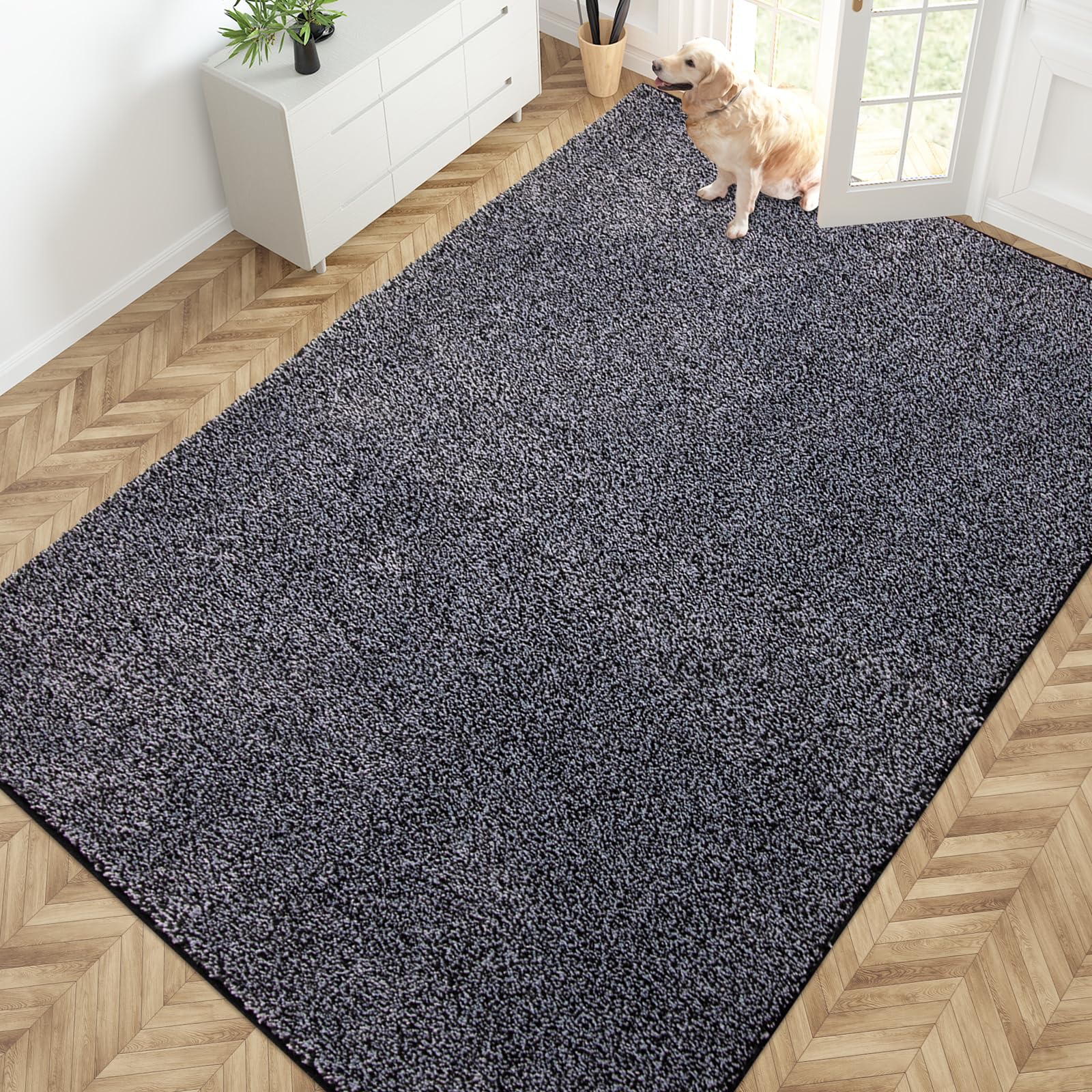 PURRUGS Dirt Trapping Door Mat 24" x 35.5", Non-Slip Machine Washable Entryway Rug, Dog Doormat, Indoor Front Door Mat, Super Absorbent Entry Rug for Muddy Shoes & Paws, Charcoal